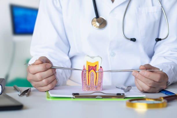 Best Broken or Chipped Tooth Repair in Hanover, IN